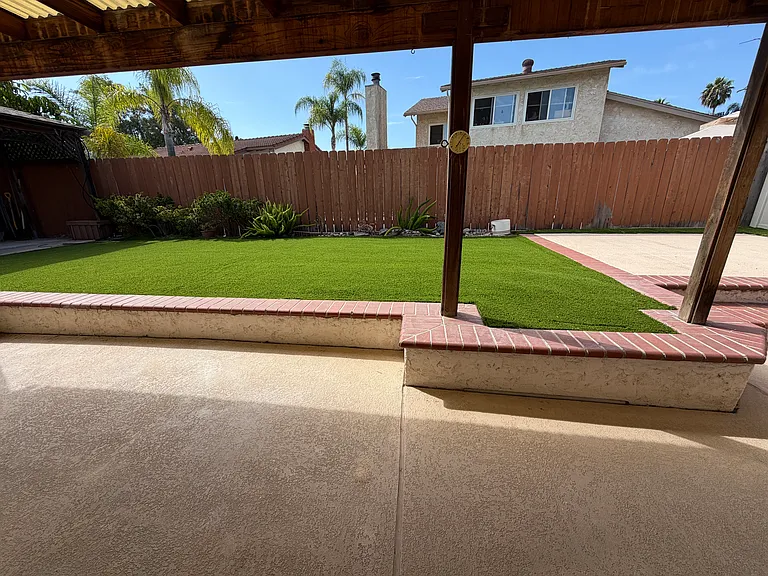 Back yard