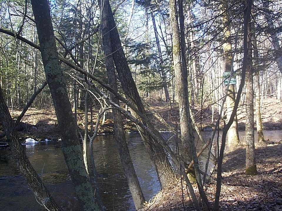 2nd image of Thunder Mountain Rd