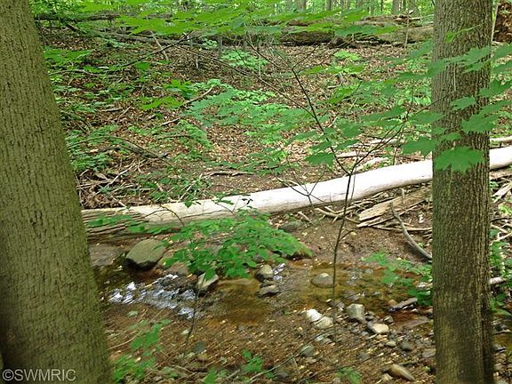 3rd image of Blue Star Hwy