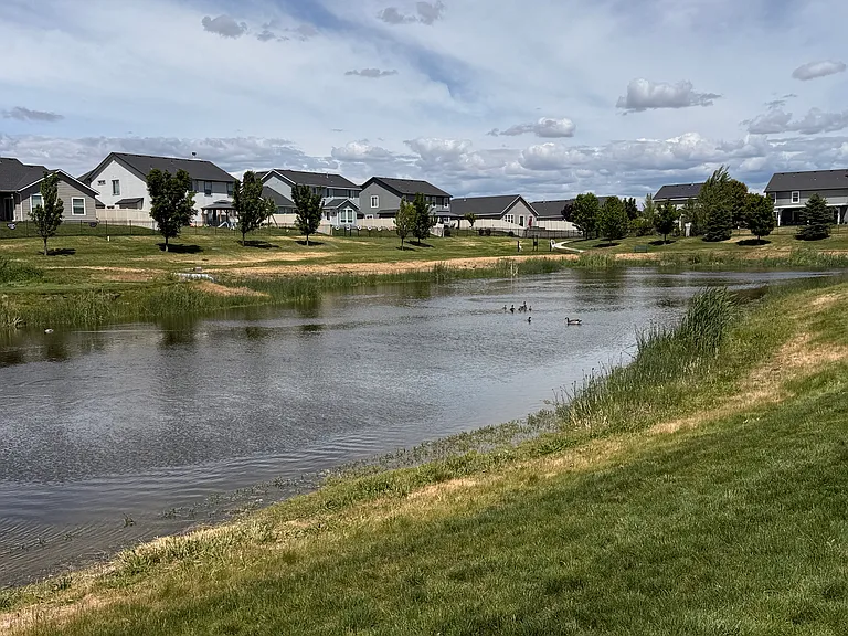 HOA Community Pond