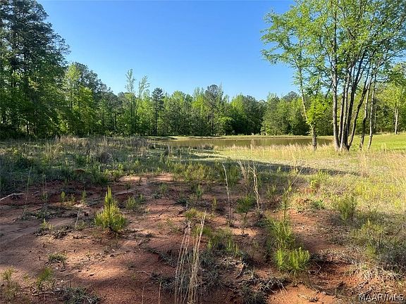 3rd image of 77956 Tallassee Hwy