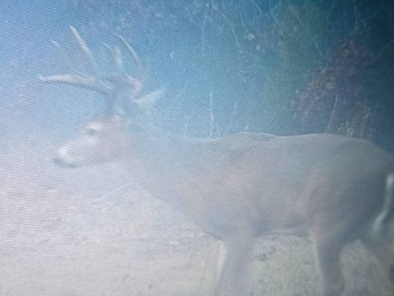 5th image of 1150 NE 95th Rd