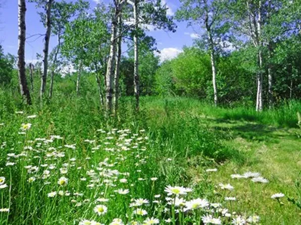 16 Creek Hill Ln, Red Lodge, MT 59068