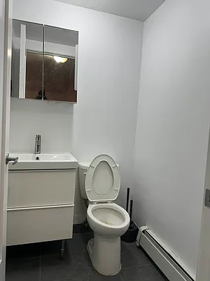 Rented by Real Broker NY LLC | media 11