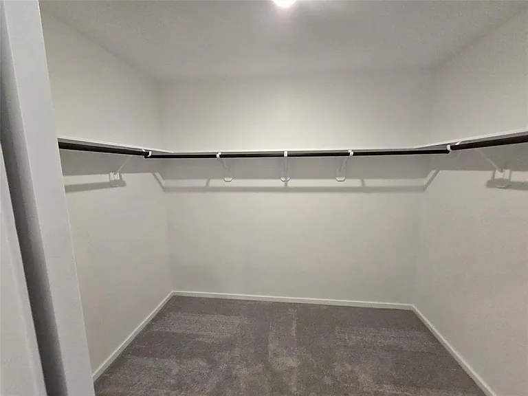 6411 Linden Leaf Dr — Photo 10
