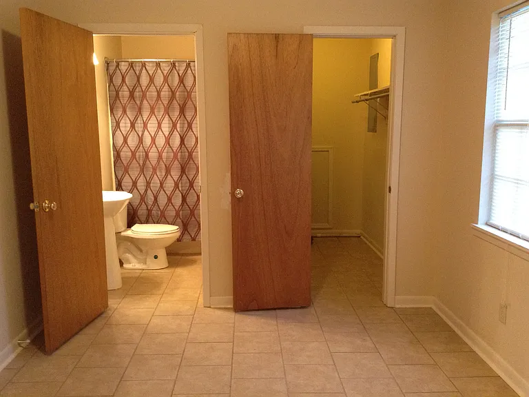 Bathroom and walk-in closet leading from bedroom.