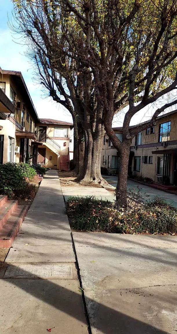 1 bed, 677 sqft, $1,795 — Photo 3