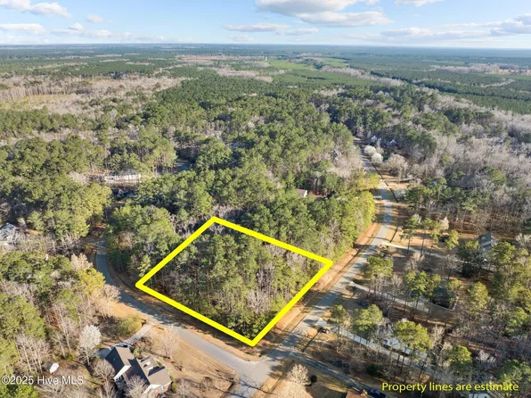 118 Wildflower Way #42, Pollocksville, NC 28573