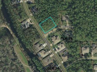 54 Eastwood Dr, Palm Coast, FL 32164