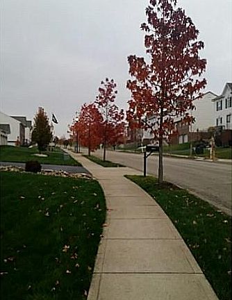 3rd image of 11787 Dartmoor Dr