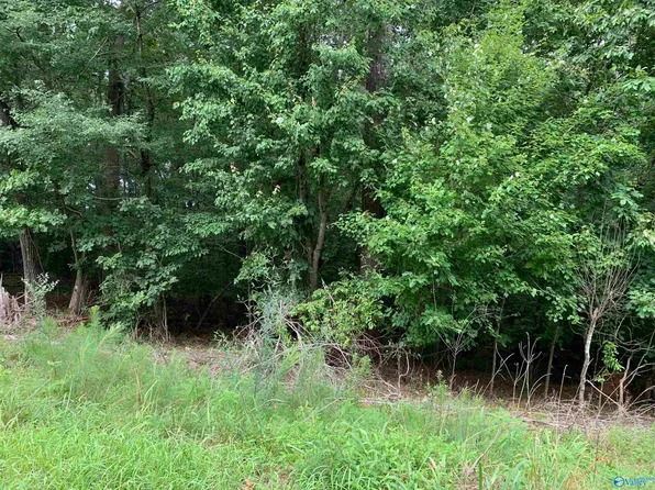 2 Lakeshore Dr, Oneonta, AL 35121