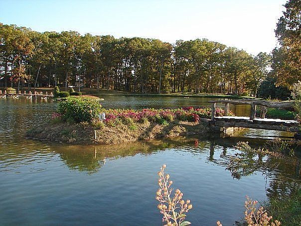 2nd image of 96 Meier Rd