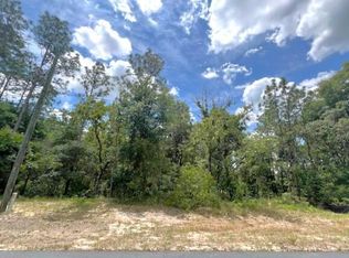 SW 134th St, Ocala, FL 34473