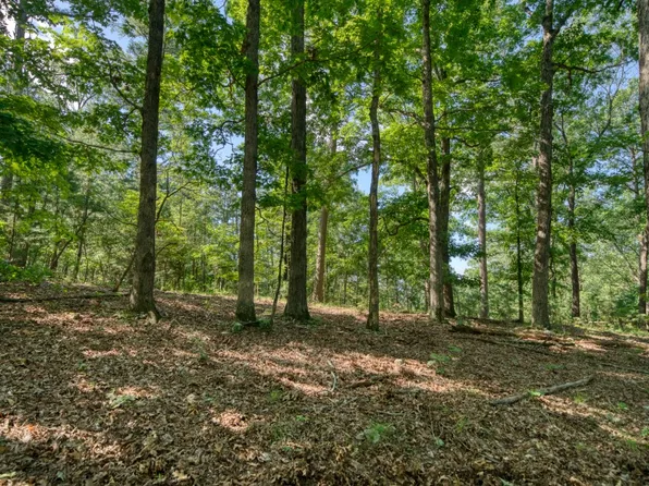 Windsong Ln #1, Eureka Springs, AR 72631