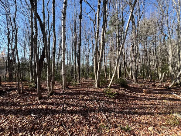 Map 11 Lot 14 Goodwin Road, Garland, ME 04939