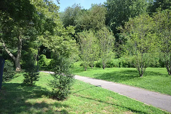 Rented by Silverstein Collection LLC  | media 25