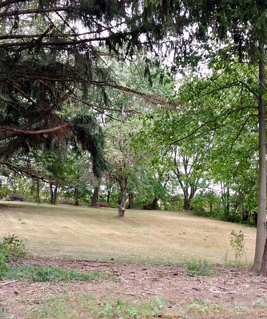 2nd image of Rufener Ext