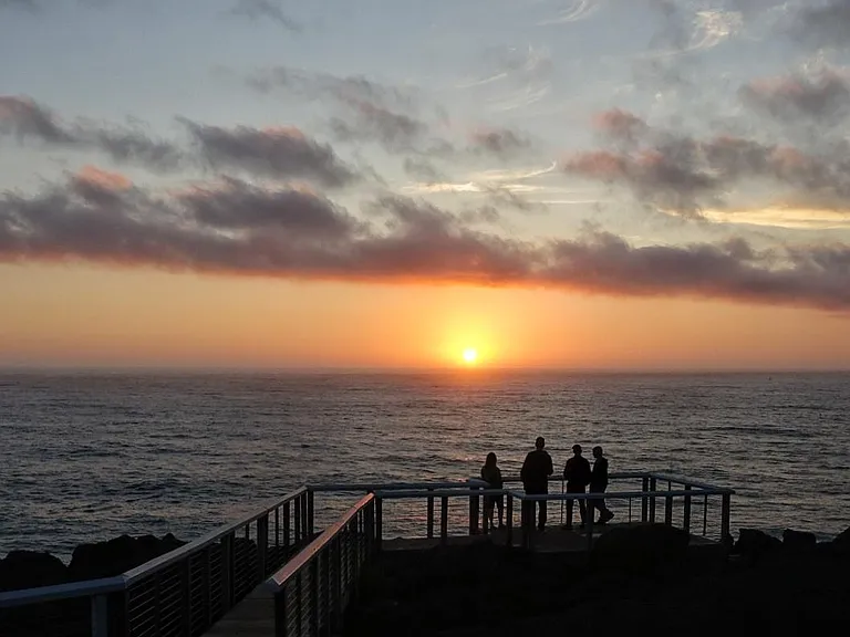 Our private whale watch platform