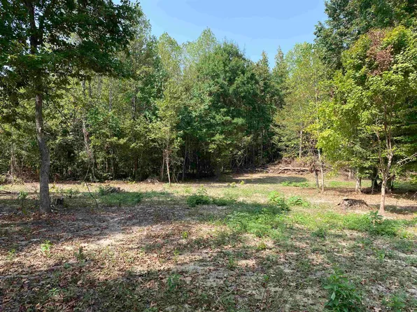 0 Highway 69 N, Morris Chapel, TN 38361