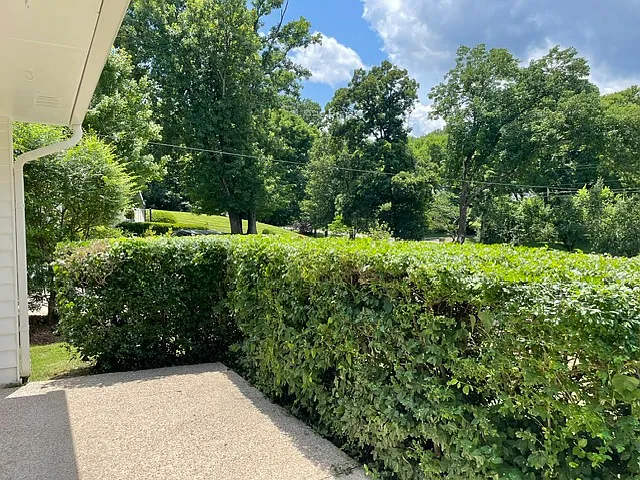 4 bed, 3400 sqft, $5,350 — Photo 2