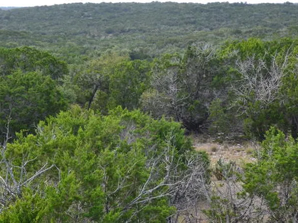 221 Sd 23010, Rocksprings, TX 78880