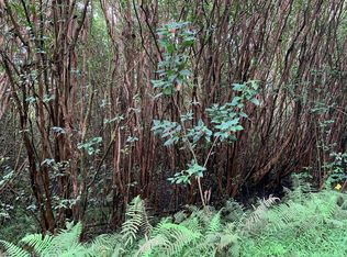 LOT 149 Lot 149, Pahoa, HI 96778