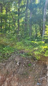 Marvin Rd, Rocky Mount, MO, 65072