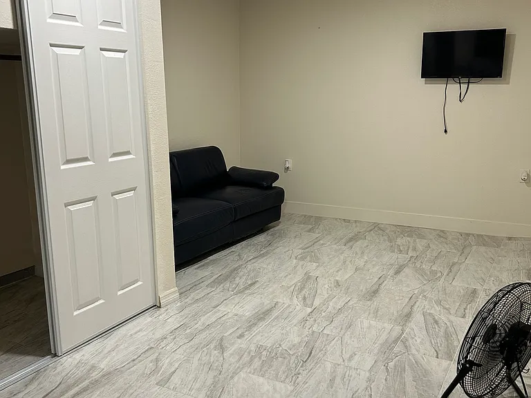 Spacious living area with TV and large closet.