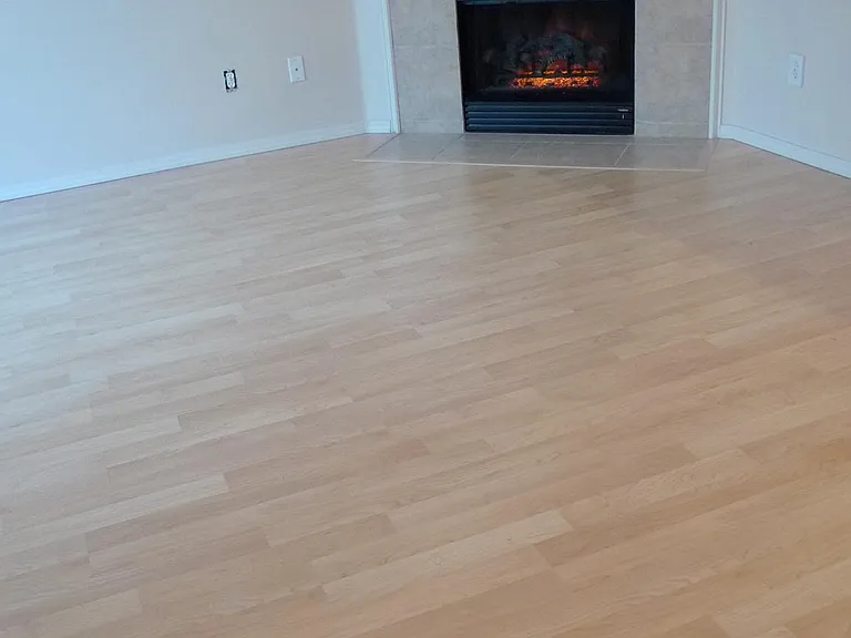 Living room with fireplace