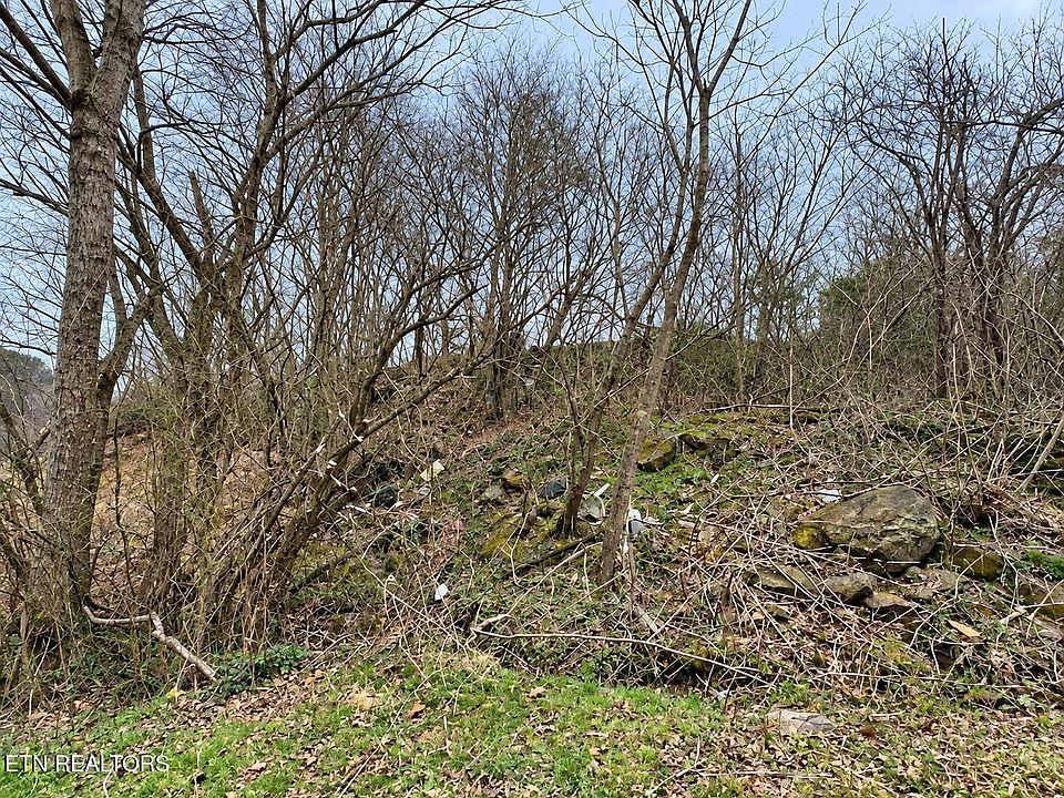 2nd image of 213 Duncan Rd