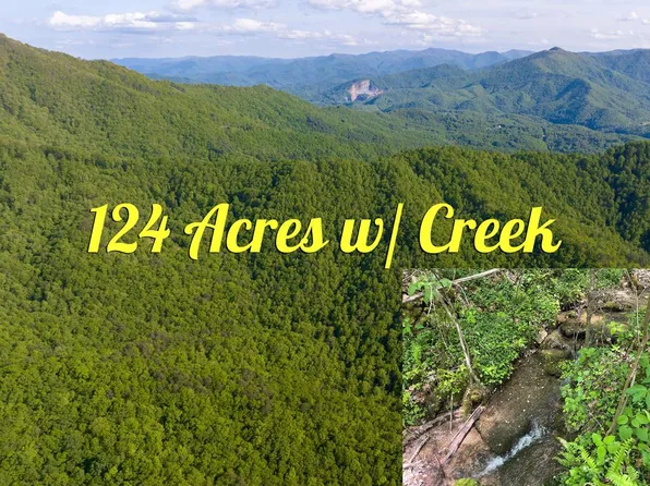 200 Blue Spruce Dr, Whittier, NC 28789