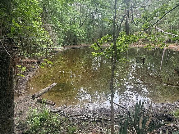 3rd image of Bilnoski Rd