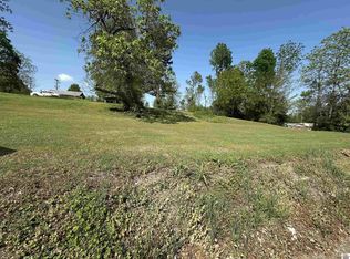 0 Doran Dr, Wingo, KY 42088
