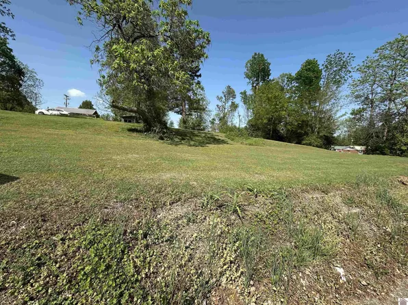 0 Doran Dr, Wingo, KY 42088