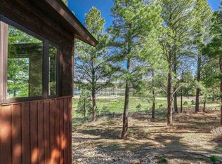 2574 Park Ave, Pagosa Springs, CO 81147