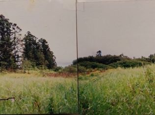 N Glenwood Rd LOT 7, Volcano, HI 96785