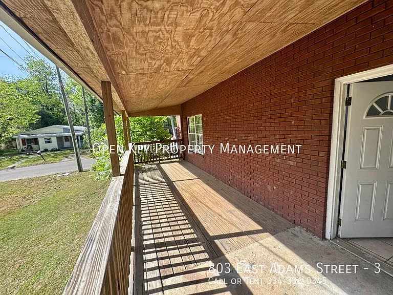 803 E Adams St #3 — Photo 29