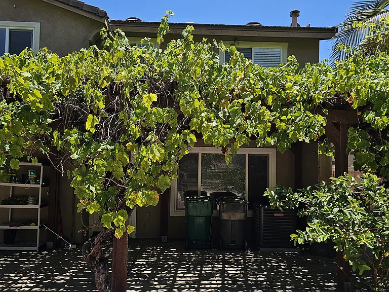 233 Canyon Creek Way — Photo 34