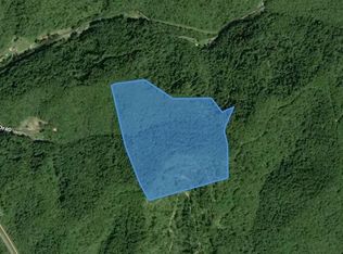 0 Bear Branch Rd, Crum, WV 25669