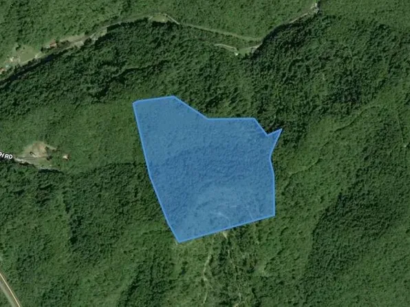 0 Bear Branch Rd, Crum, WV 25669