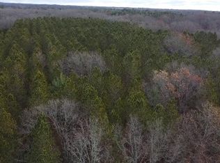 Highbridge Rd, Brethren, MI 49619