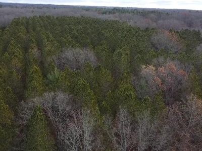 Highbridge Rd, Brethren, MI, 49619