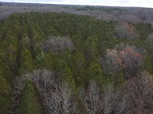 Highbridge Rd, Brethren, MI 49619