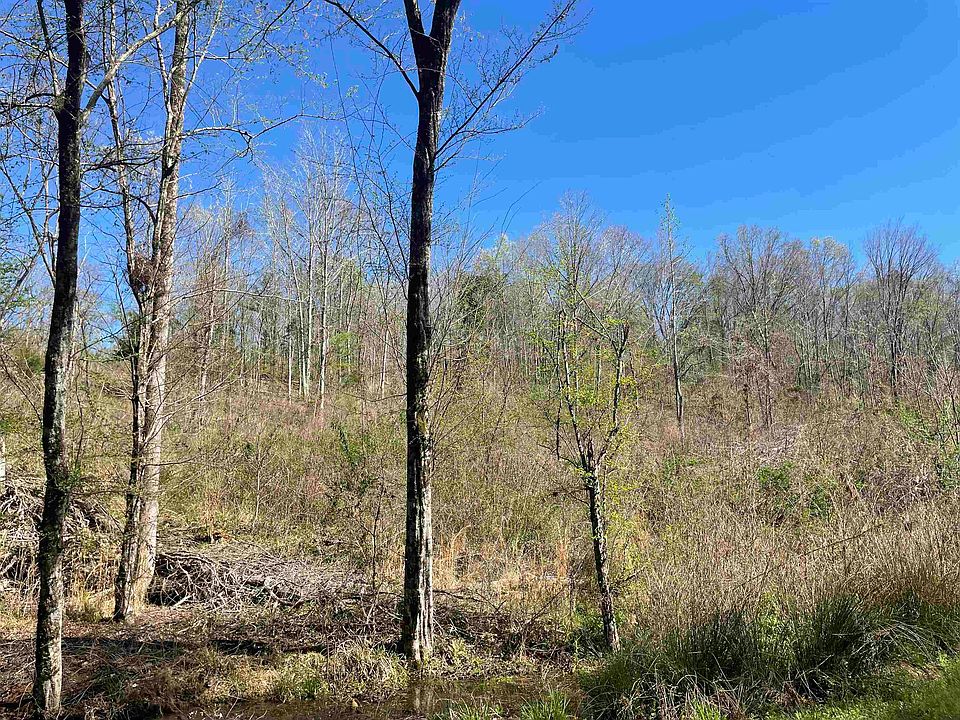 1st image of County Road 3223 S