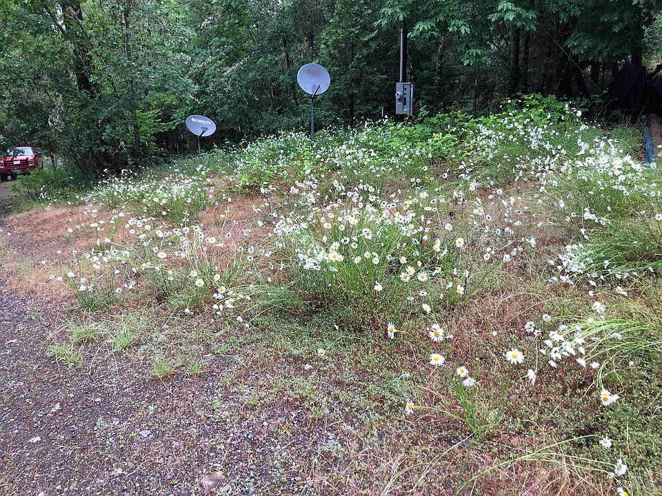2nd image of 1665 Southside Rd