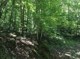 Laurel Branch Rd, Bryson city, NC 28713