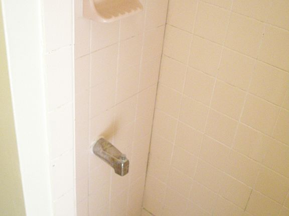 master bath 1 -shower