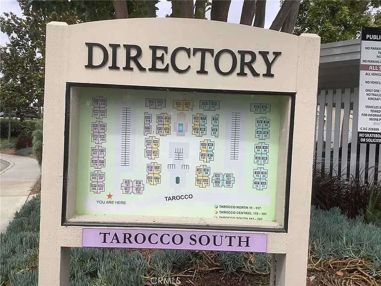269 Tarocco — Photo 3