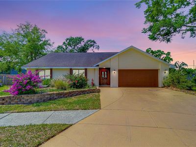 16610 Calico Pl, Tampa, FL, 33618