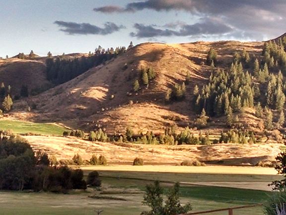 House #1 View from Kitchen